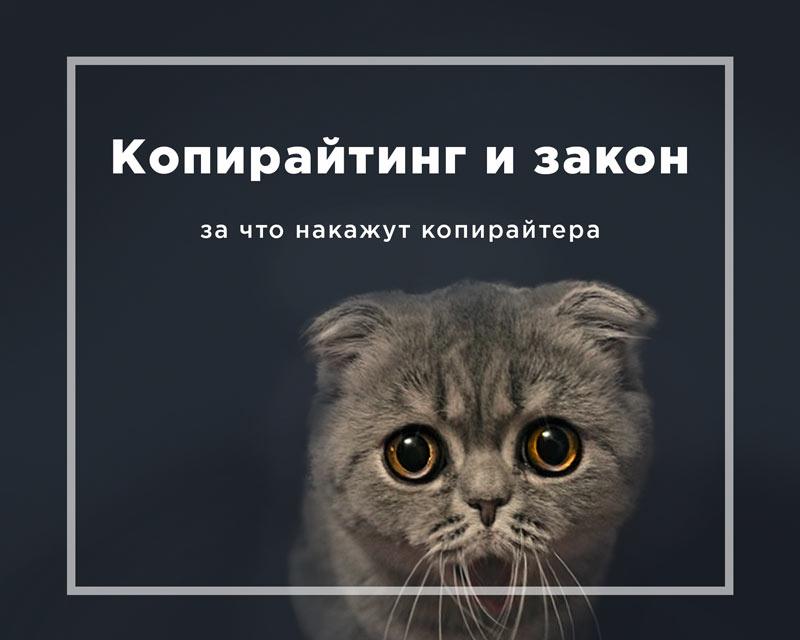 Копирайтинг и закон
